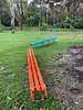 Bold Basic Benches 0559