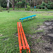 Bold Basic Benches 0559