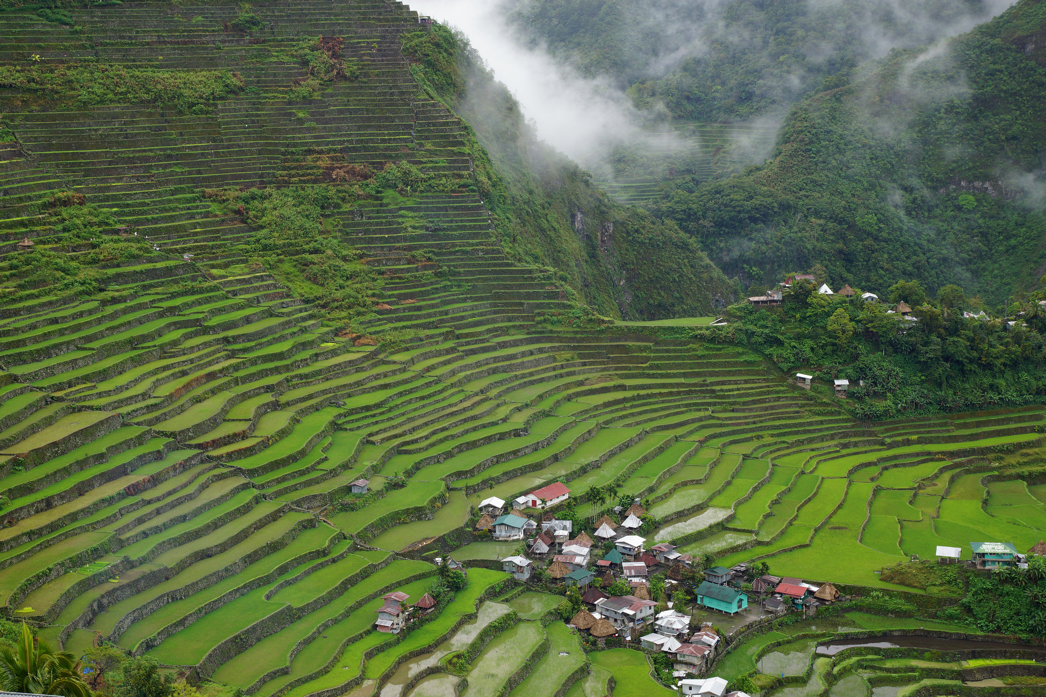 Batad Rice Terraces