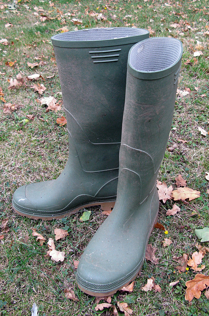 Green Wellies