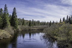 auf dem Western Uplands Backpacking Trail am Oxtongue River (© Buelipix)