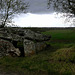 Groupe de Dolmens de Savatole