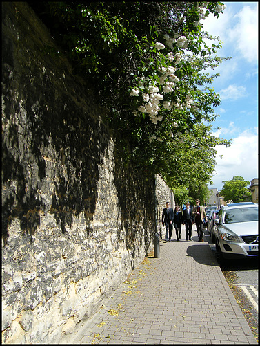 white lilac on Walton Street