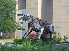 Princeton Tiger Sculpture, July 2011