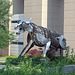 Princeton Tiger Sculpture, July 2011