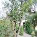 Carola's Ranch