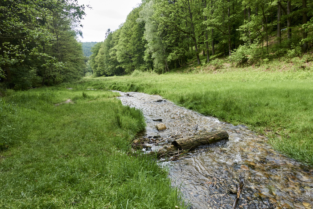 waldtal-06513-co-30-05-19