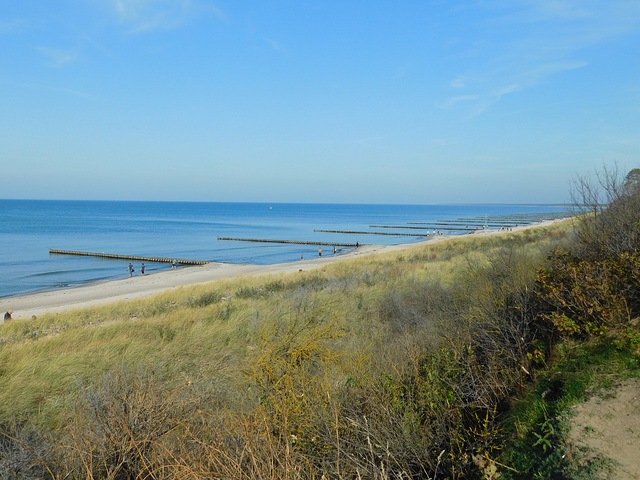 Strand in Ahrenshoop