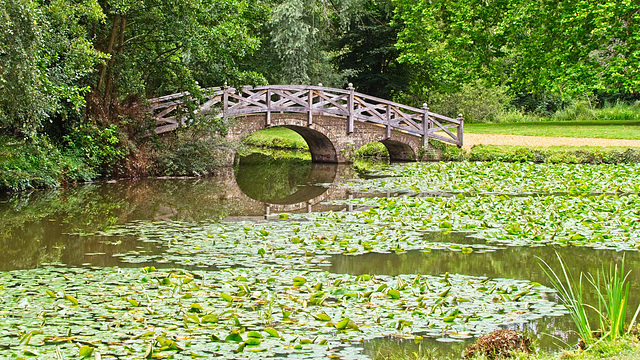 The Chinese Bridge (+PiP)