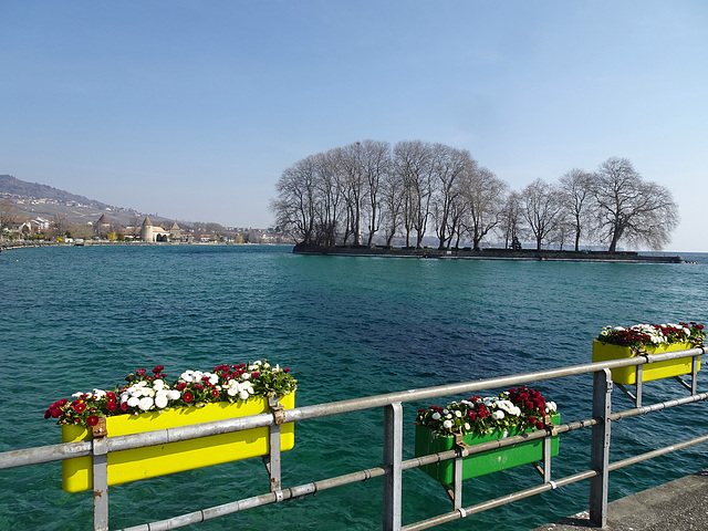 Frühling am Genfersee bei Rolle, mit der Ile de la Harpe