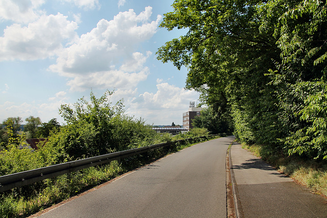 Westfeld (Fröndenberg-Langschede) / 11.06.2022