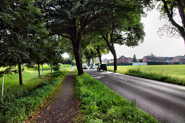 Lembecker Straße (Dorsten-Rhade) / 20.07.2024