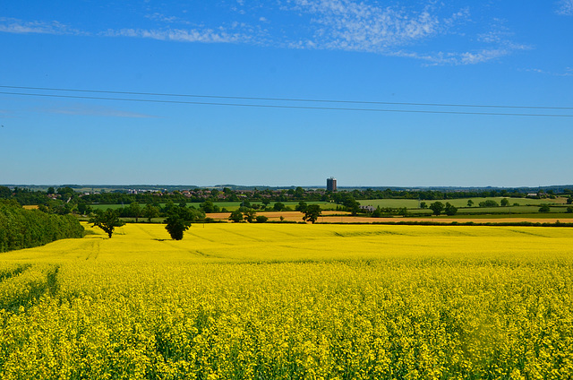 Looking towards Stafford from Bury Ring