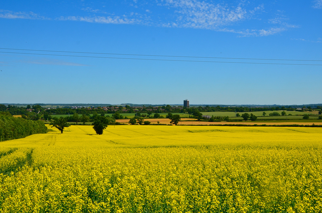 Looking towards Stafford from Bury Ring