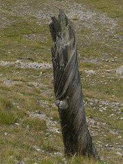 20180827 -0901 Randos Névache (Vallée de la Clarée 05) (202) al