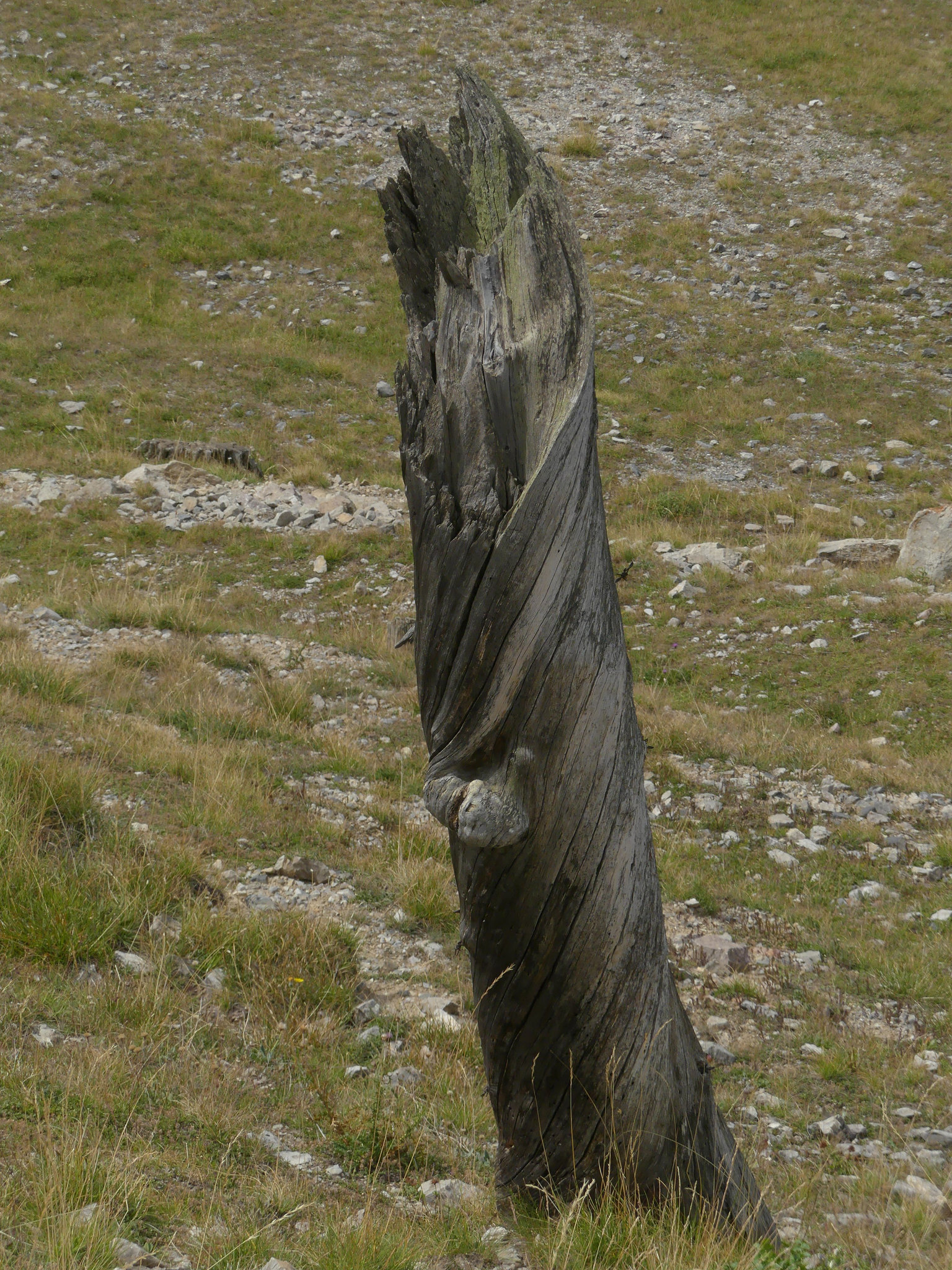 20180827 -0901 Randos Névache (Vallée de la Clarée 05) (202) al