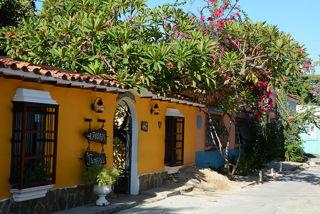 Venezuela, Posada Turpial in the Village of Choroni