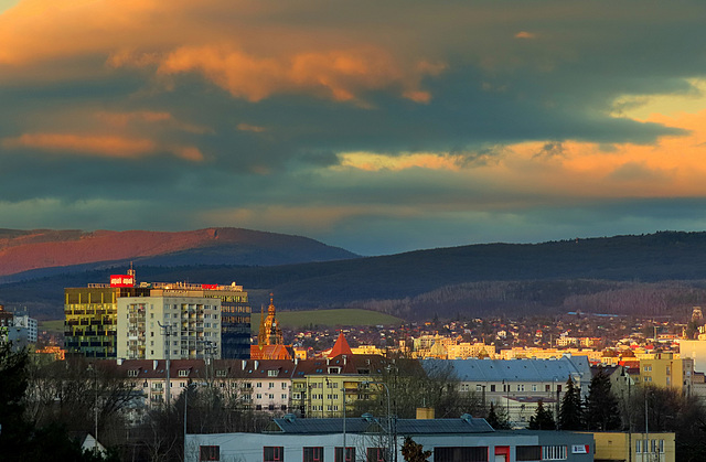 in the evening light