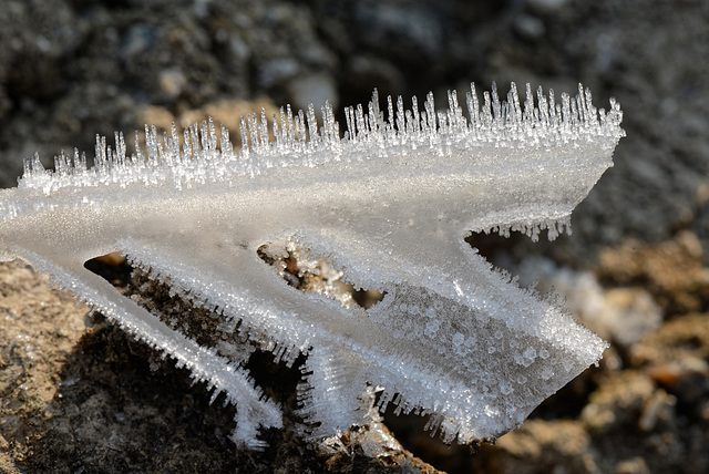 dents de glace