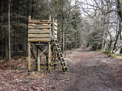 20180405 3566CPw [D~AUR] Hochsitz, Schlosswald Lütetsburg, Lütetsburg