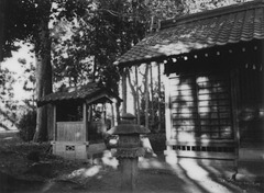 Shadows in the shrine ground