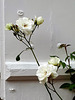 Happy week end my friends - belle semaine mes amis