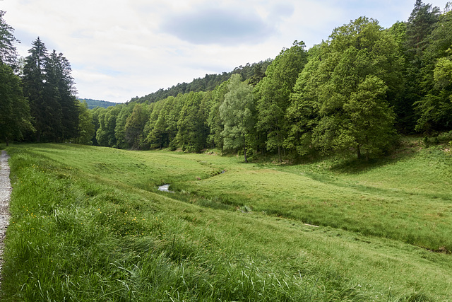 waldtal-06514-co-30-05-19