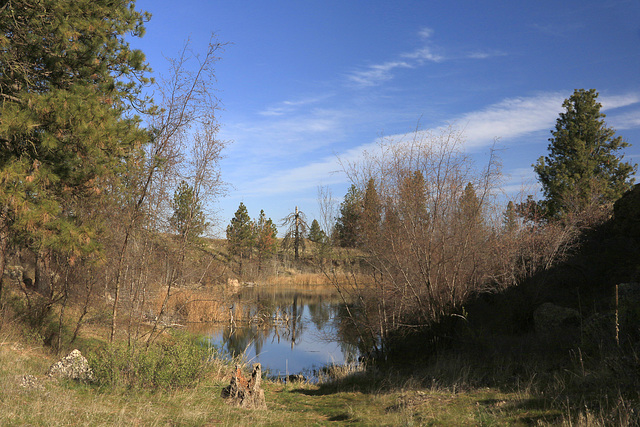 Channeled Scablands