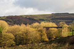 Chisworth to Combes Rocks