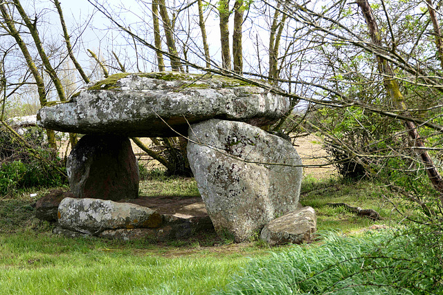 Groupe de Dolmens de Savatole