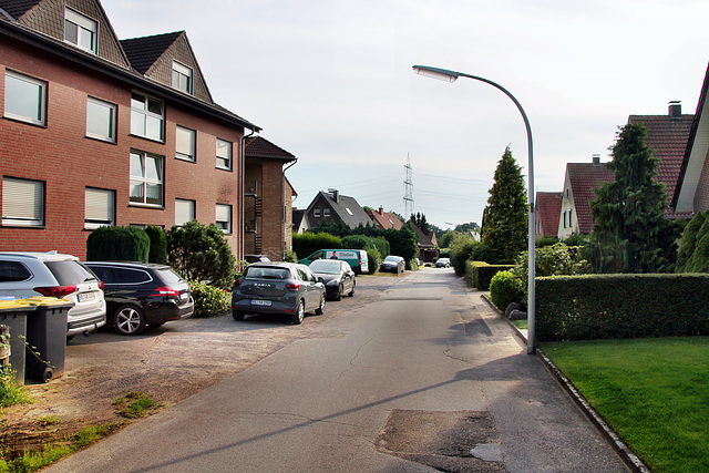 Steinstraße (Dorsten-Rhade) / 20.07.2024