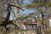 Bastei - Panorama - Terrasse