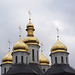 Чернигов, Золотые купола Екатерининской церкви / Chernigov, The Golden Domes of the Church of St.Catherine