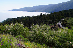 Mirador de La Bermeja