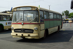 70 Jahre OBus Solingen 036