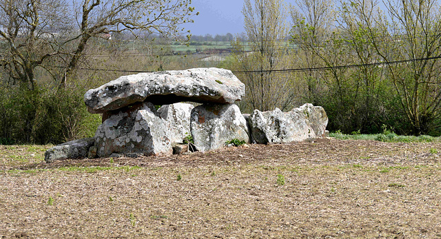 Groupe de Dolmens de Savatole