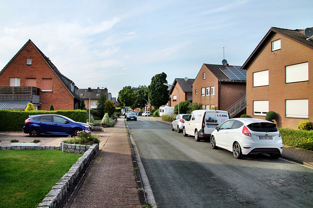 Am Hünengrab (Dorsten-Rhade) / 20.07.2024