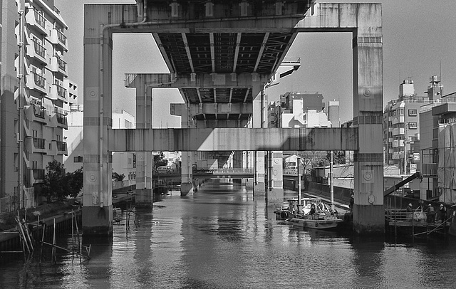 Under the expressway