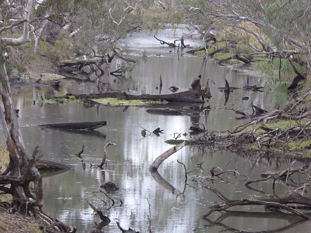 Upper Glenelg River