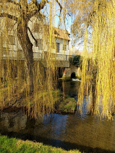 Loddon Mill and River Chet Through the Willows