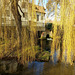 Loddon Mill and River Chet Through the Willows