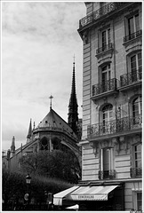 En hommage à ND de Paris