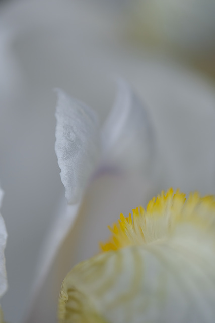 DSCF6476 DSCF6476