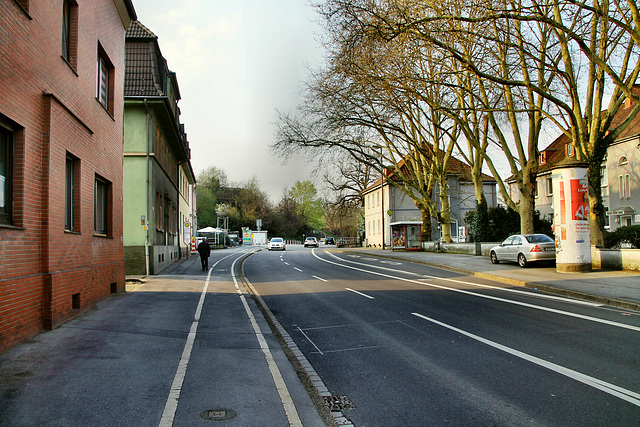 Bärenbruch (Dortmund-Marten) / 6.04.2019