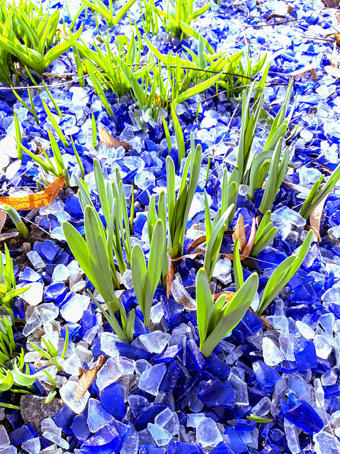 grün und blau