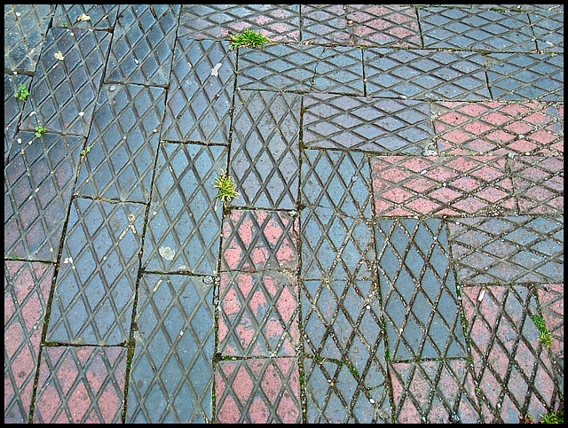 latticed pavement blocks