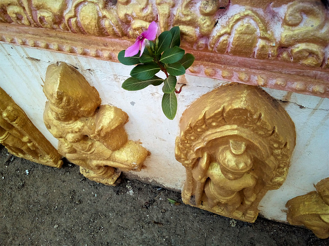 Lieu de culte à saveur cambodgienne  / Cambodian religious site