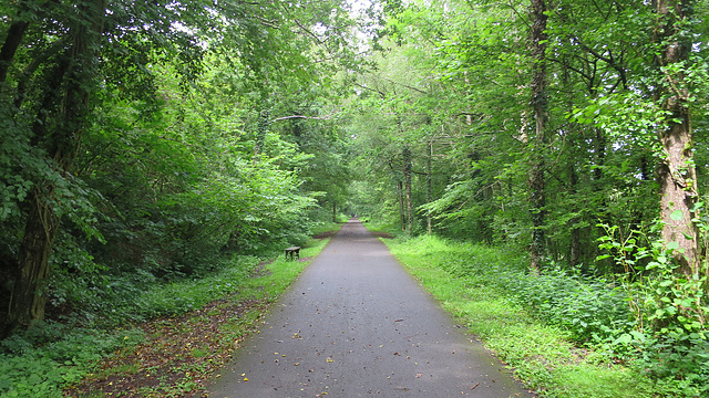 Old railway line