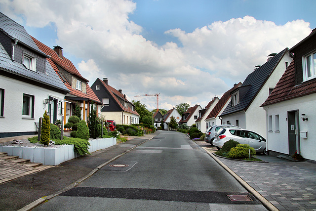 Ruhrblick (Fröndenberg-Langschede) / 11.06.2022