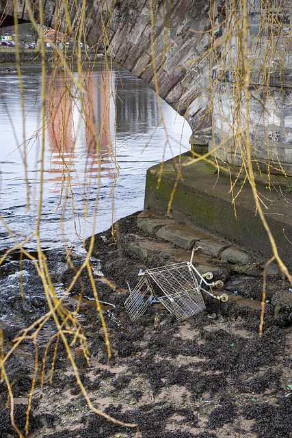 On the Riverbed